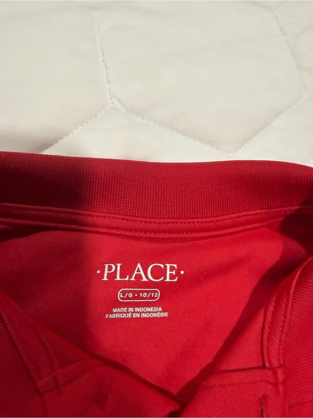 Pair of The Children's Place Boys Polo Shirts